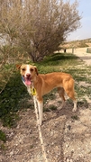 NATY Image 1